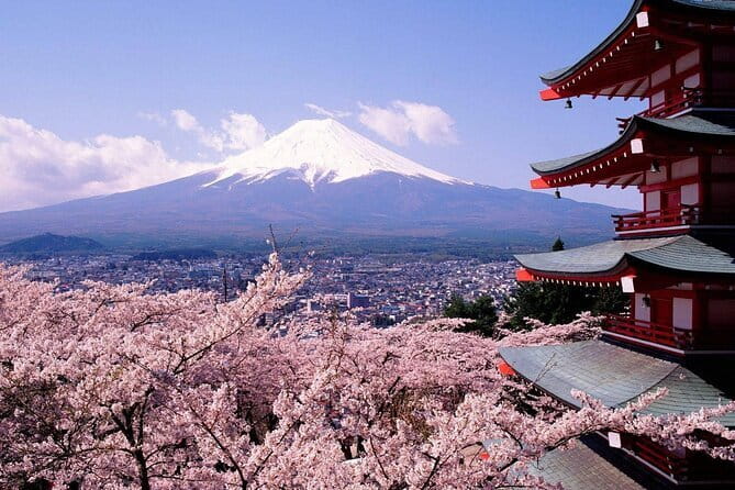 From Tokyo Kamakura, Hachimangu Shrine and Enoshima Full Day Tour - Komachi Street for food and browsing