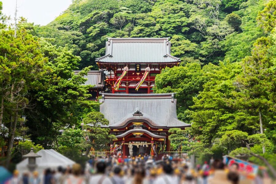 From Tokyo: Kamakura Private Customize Tour by Luxury Van - Booking flexibility and the final decision