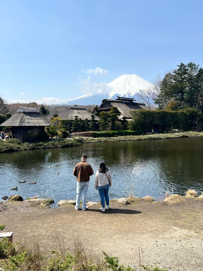 From Tokyo: Mount Fuji and Hakone Private Day Trip - What the private vehicle adds