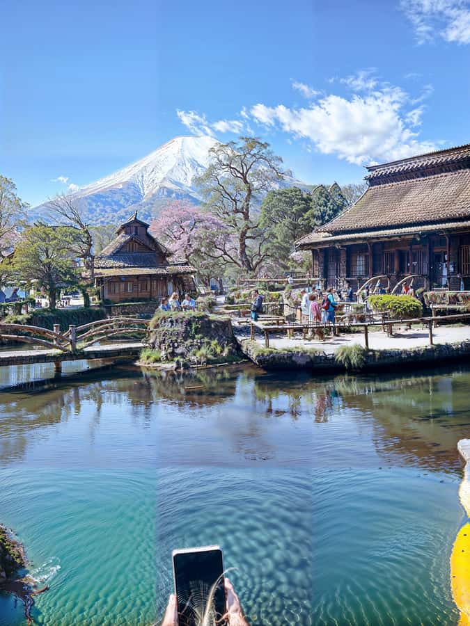 From Tokyo: Mount Fuji and Hakone Private Day Trip - One private day, two major sights