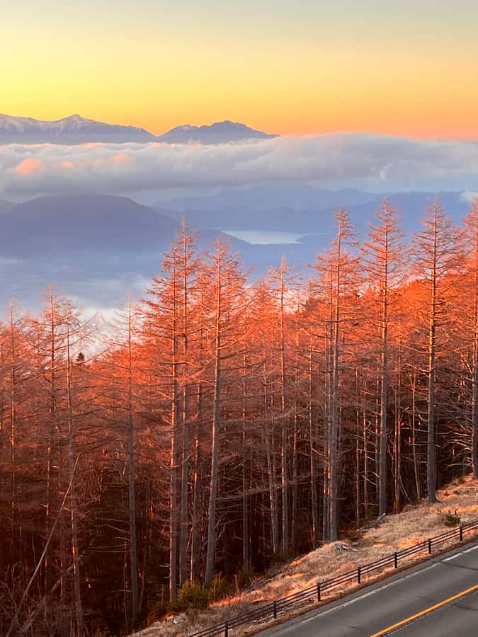 From Tokyo: Mount Fuji and Hakone Private Day Trip - Chureito Pagoda and the classic Fuji photograph