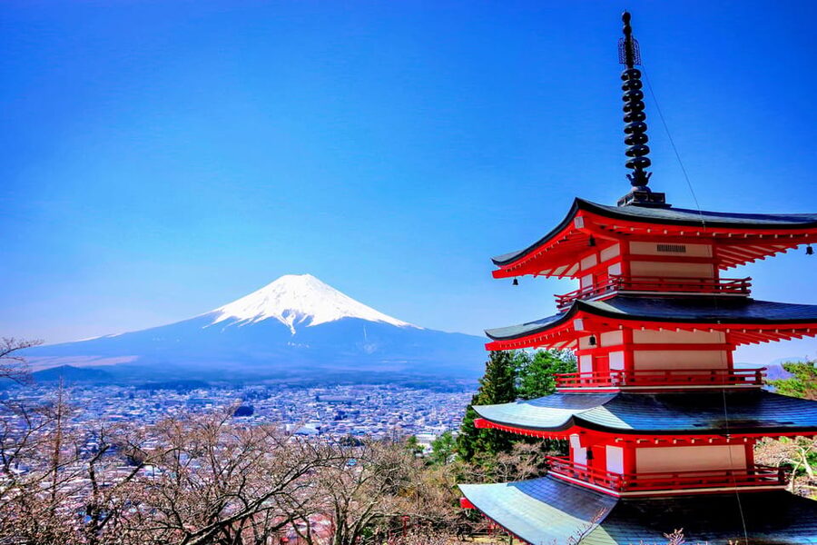 From Tokyo: Mount Fuji and Hakone Private Day Trip - Kitaguchi Shrine and Oshino Hakkai