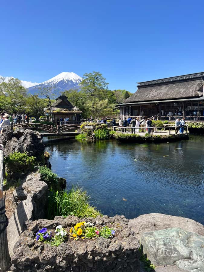 From Tokyo: Mount Fuji and Hakone Private Day Trip - Lake Kawaguchi and the Fuji Five Lakes views