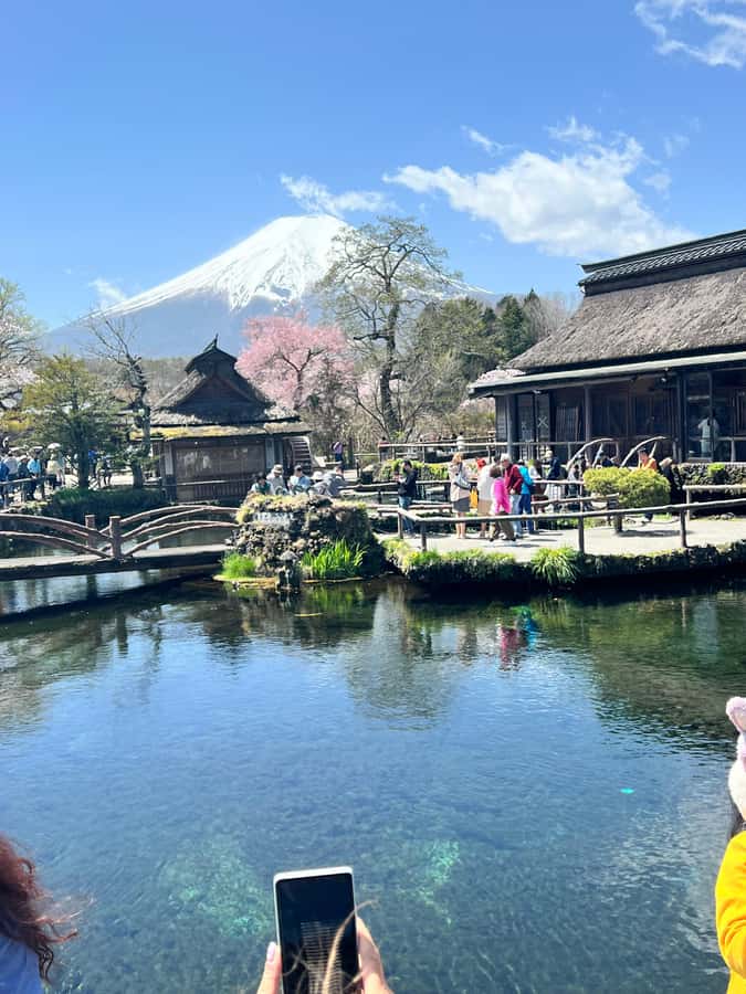 From Tokyo: Mount Fuji and Hakone Private Day Trip - Hakone’s volcanic side at Owakudani