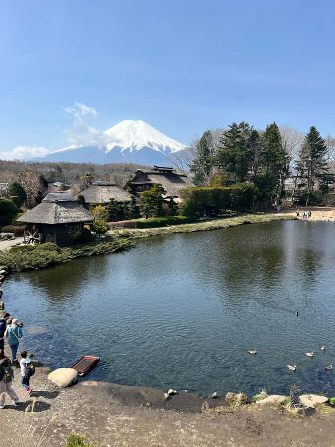 From Tokyo: Mount Fuji and Hakone Private Day Trip - Lake Ashi by pirate ship or cable car