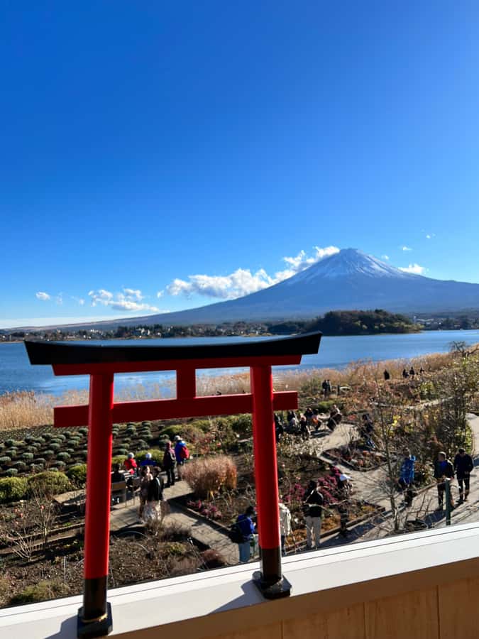 From Tokyo: Mount Fuji and Hakone Private Day Trip - Hakone Open Air Museum for an art break