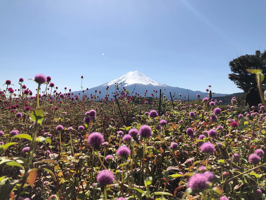 From Tokyo: Mount Fuji, Cruise and Sake Tour - Mount Fuji 5th Station at 2,300 meters