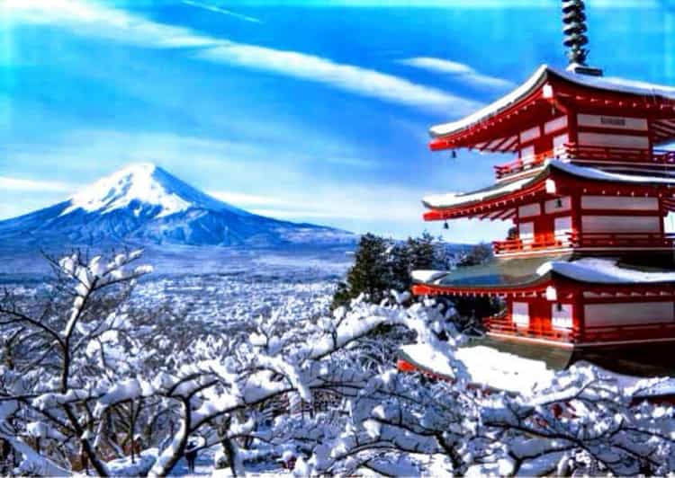 From Tokyo: Mount Fuji Full Customized Tour English Guide - Why a private car makes Mount Fuji easier