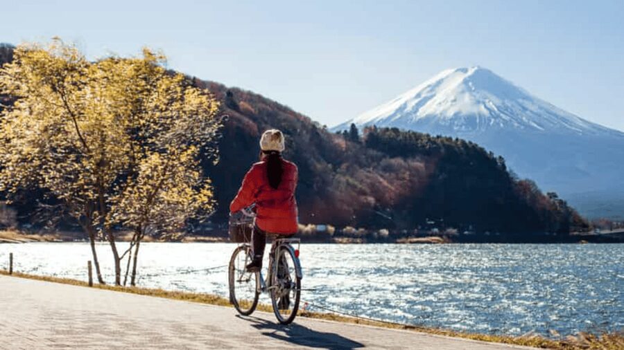 From Tokyo: Mount Fuji Full Customized Tour English Guide - Oshino Hakkai and its old-style village setting