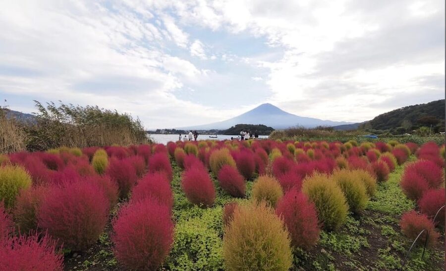 From Tokyo: Mount Fuji Full Customized Tour English Guide - Weather can change the whole day