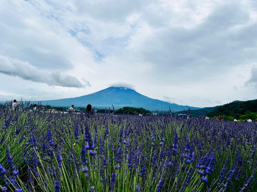 From Tokyo: Mount Fuji Full-Day Customizable Private Tour - Key points to know before you book