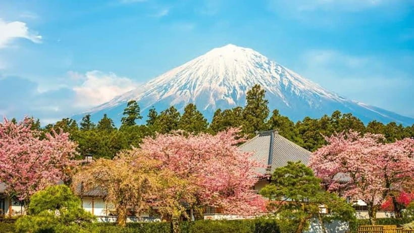 From Tokyo: Mount Fuji Full-Day Customizable Private Tour - Why a private Fuji day trip makes sense