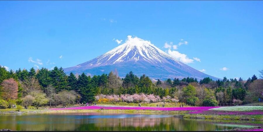 From Tokyo: Mount Fuji Full-Day Customizable Private Tour - Kitaguchi Hongu Fuji Sengen Shrine