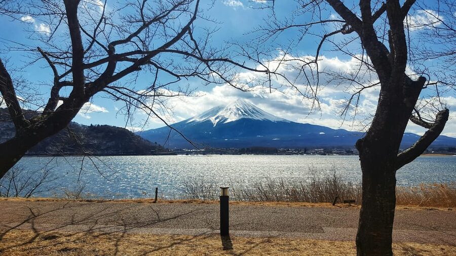 From Tokyo: Mount Fuji Full-Day Customizable Private Tour - The 5th Station: high views with important limits