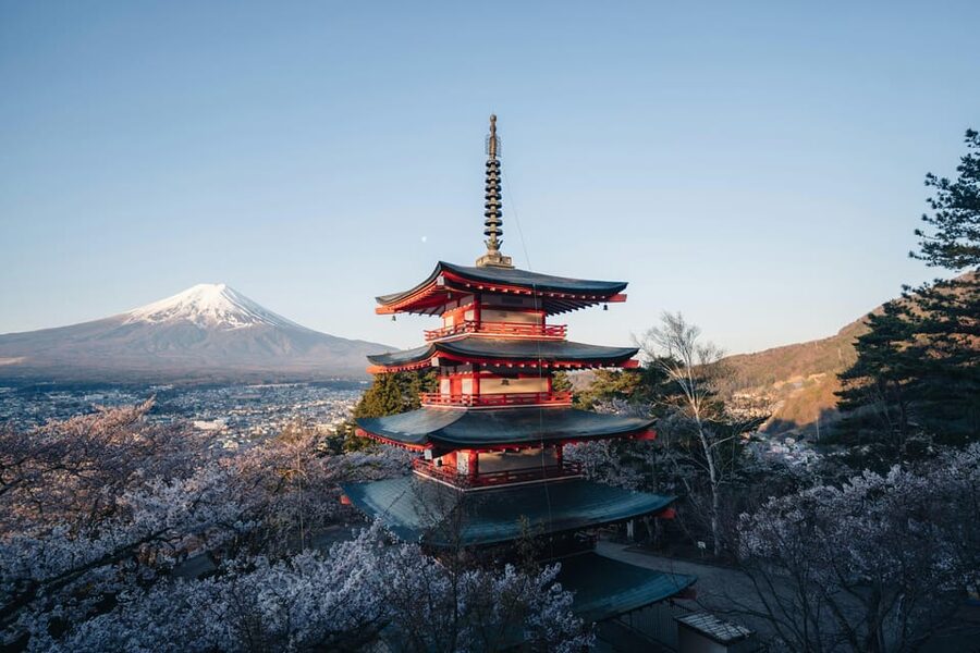 From Tokyo: Mount Fuji Full-Day Customizable Private Tour - Lake Kawaguchi, Oishi Park, and Oshino Hakkai