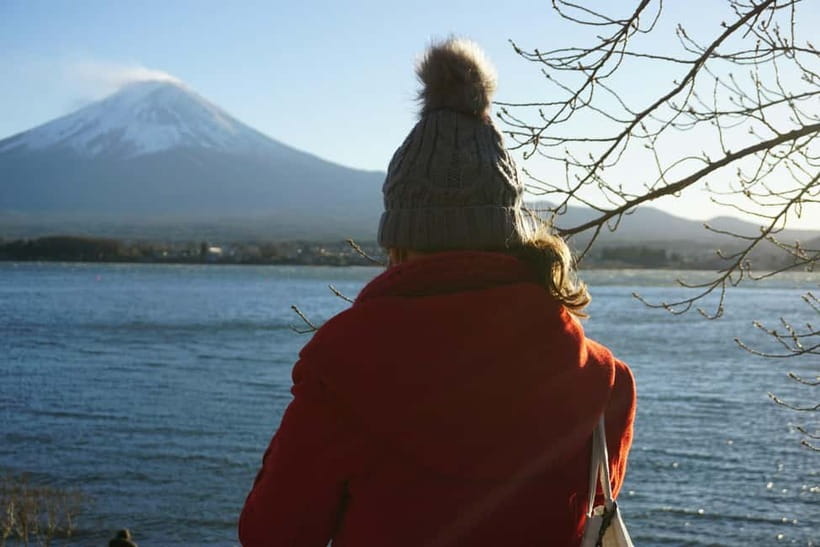 From Tokyo: Mount Fuji Full-Day Customizable Private Tour - Hakone Ropeway and the views around Owakudani