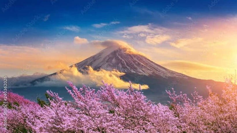 From Tokyo: Mount Fuji Full-Day Customizable Private Tour - Choosing between Fuji Five Lakes and Hakone