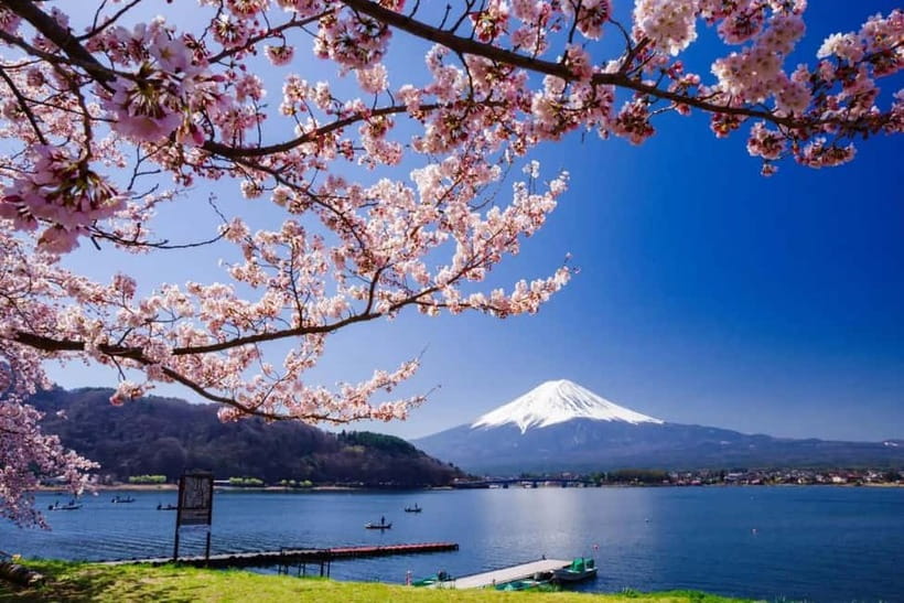 From Tokyo: Mount Fuji Full Day Private Customizable Tour - Key points to know before booking