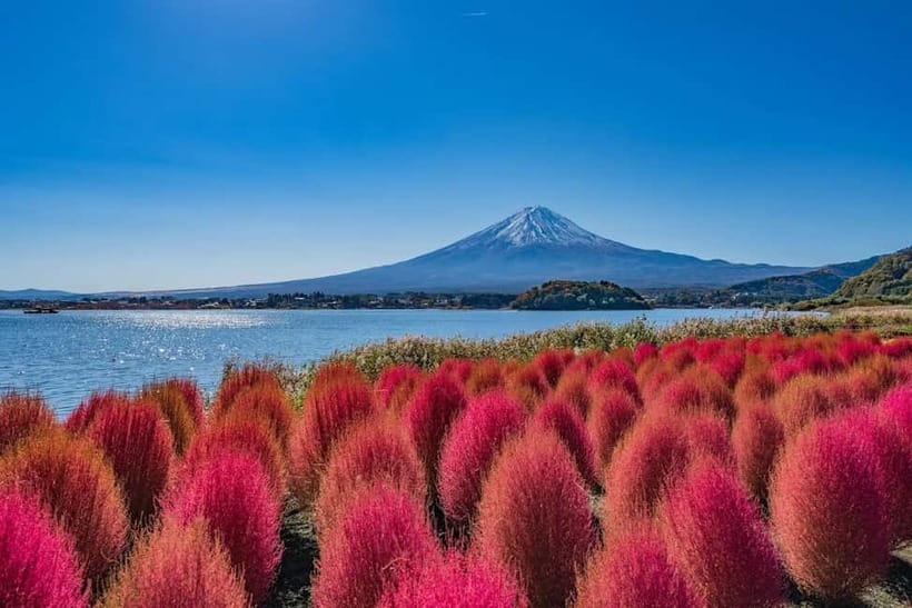 From Tokyo: Mount Fuji Full Day Private Customizable Tour - Why a private car makes Fuji easier