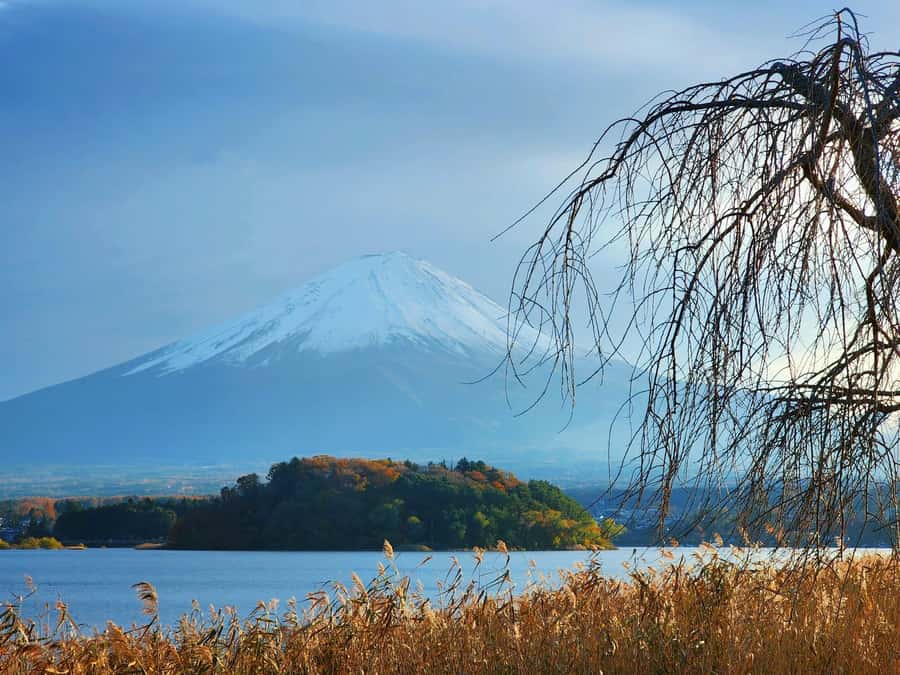 From Tokyo: Mount Fuji Full-Day Private Tour (Customizable) - Comfort, group size, and the real cost