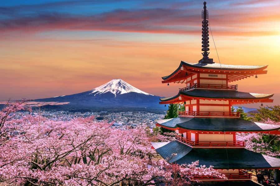 From Tokyo: Mount Fuji Full-Day Private Tour (Customizable) - Why a private Mount Fuji day trip makes sense