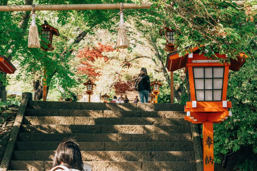 From Tokyo: Mount Fuji Full-Day Private Tour (Customizable) - Chureito Pagoda and Japan’s famous five-layered view
