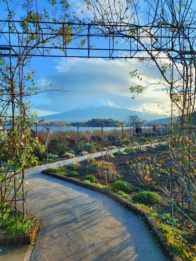 From Tokyo: Mount Fuji Full-Day Private Tour (Customizable) - Oshino Hakkai for springs, food, and old-style houses