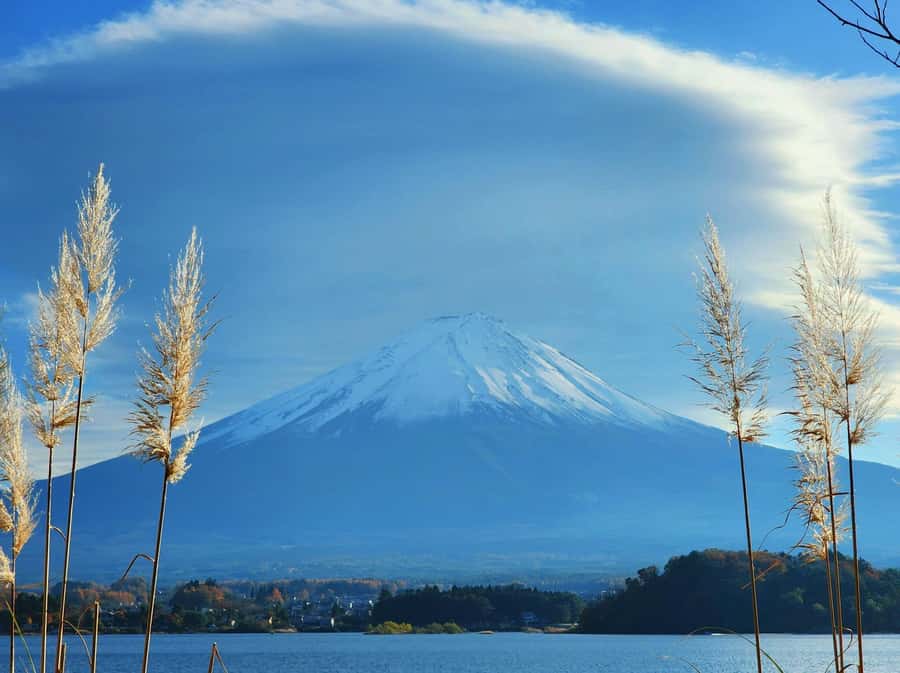 From Tokyo: Mount Fuji Full-Day Private Tour (Customizable) - The 5th or 6th Station, when the mountain allows it