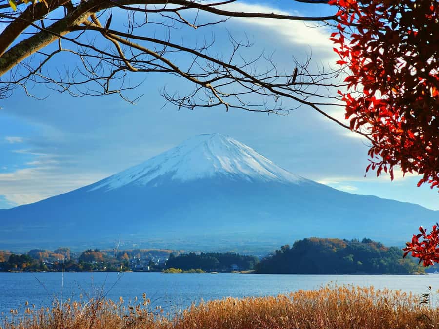 From Tokyo: Mount Fuji Full-Day Private Tour (Customizable) - Adding Hakone or reshaping the day