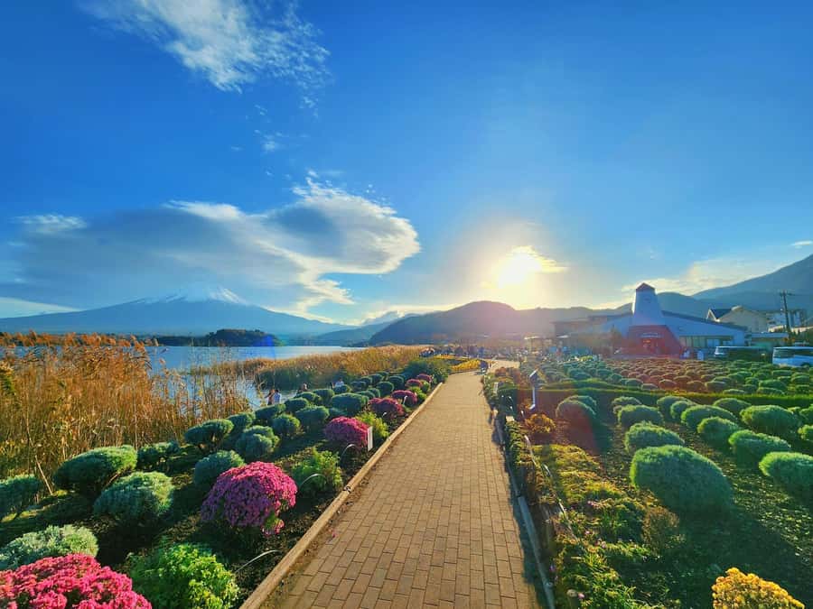 From Tokyo: Mount Fuji Full-Day Private Tour (Customizable) - The drivers are the heart of the experience