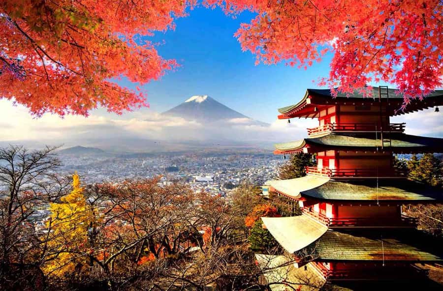 From Tokyo: Mount Fuji Full Day Private Tour English Guide - Key points to know before booking