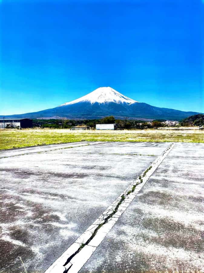 From Tokyo: Mount Fuji Full Day Private Tour English Guide - Why a private Mount Fuji day trip makes sense from Tokyo