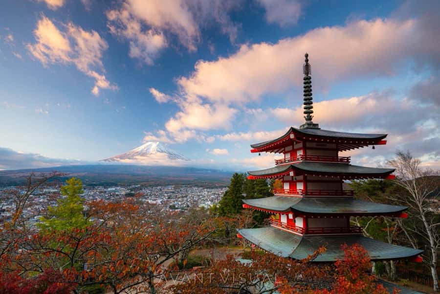 From Tokyo: Mount Fuji Full Day Private Tour English Guide - Mount Fuji 5th Station at 2,300 meters