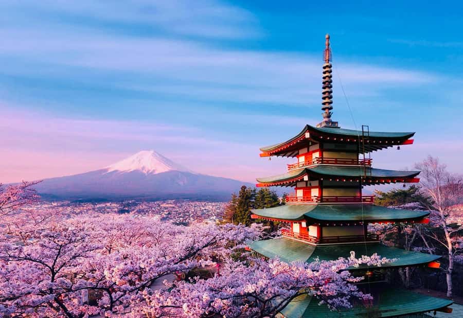 From Tokyo: Mount Fuji Full Day Private Tour English Guide - Oshino Hakkai for a quieter village stop