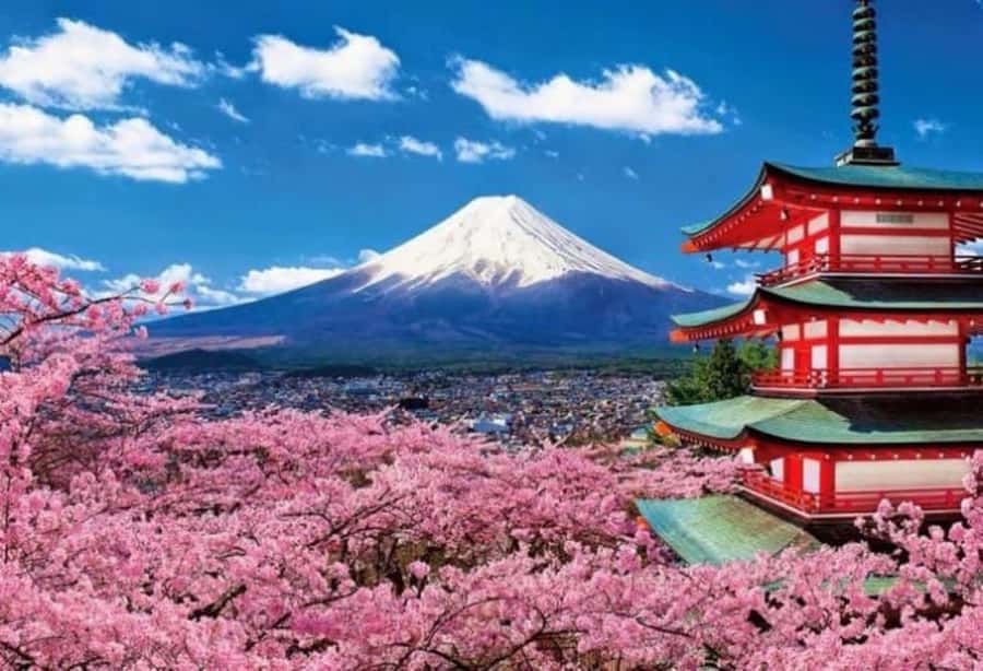 From Tokyo: Mount Fuji Full Day Private Tour English Guide - Lake Kawaguchi, Oishi Park, and the wider Fuji region