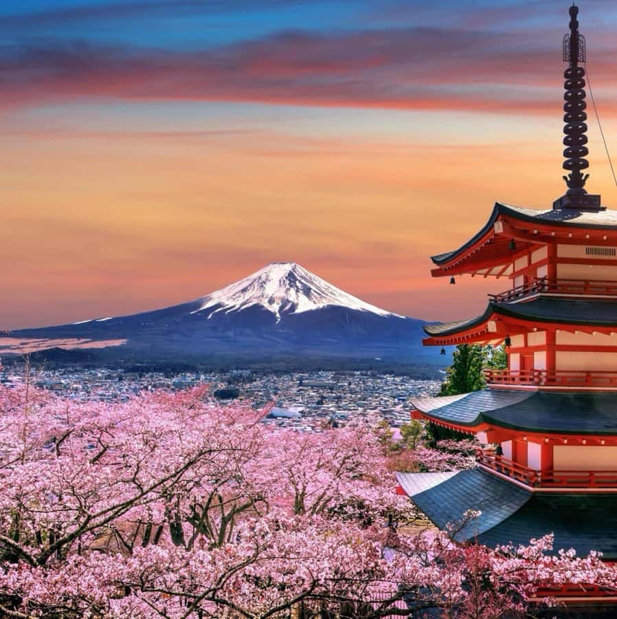 From Tokyo: Mount Fuji Full Day Private Tour English Guide - The $370 price and what you receive