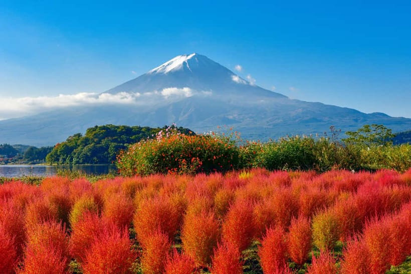 From Tokyo: Mount Fuji Full-Day Sightseeing Trip - Why this Mount Fuji day trip works from Tokyo