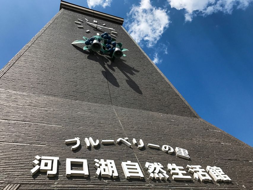 From Tokyo: Mount Fuji Full-Day Sightseeing Trip - Guides, communication, and the pace of the day