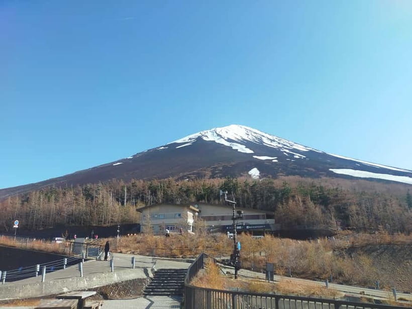 From Tokyo: Mount Fuji Full-Day Sightseeing Trip - Weather, crowds, and the risk of missing Fuji