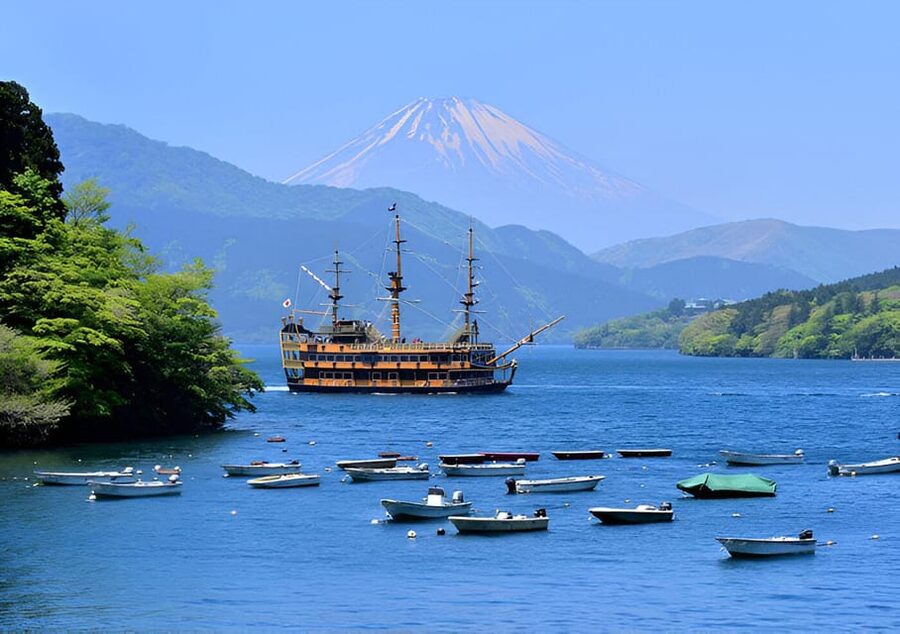 From Tokyo: Mount Fuji & Hakone Full Day Private Tour - Saiko Iyashi-no-Sato Nenba and traditional Japan