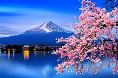 Mount Fuji & Hakone Full Day Private Tour