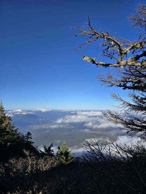 From Tokyo: Mount Fuji & Hakone Full Day Private Tour - Lake Kawaguchi by boat, cable car, or duck boat