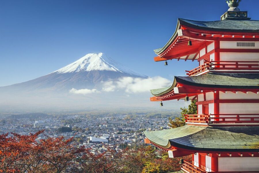 From Tokyo: Mount Fuji Private Day Tour - What the driver does, and what the driver does not do