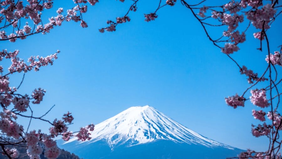 From Tokyo: Mount Fuji Private Day Tour With English Guide - Mount Fuji 5th Station and the first big view
