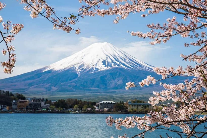 From Tokyo: Mount Fuji Private Tour With English Guide - Five useful things to know before you book