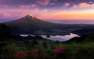 Mount Fuji Private Tour With English Guide