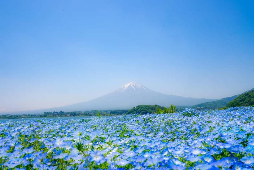 From Tokyo: Mt Fuji, Arakurayama and Kawaguchi Lake Day Trip - The guide can make or break the day
