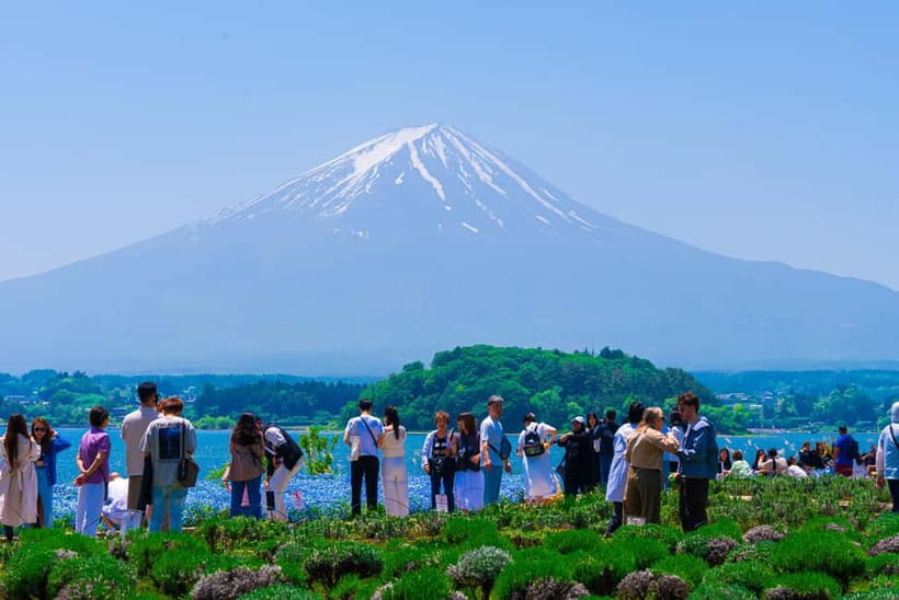 From Tokyo: Mt Fuji, Arakurayama and Kawaguchi Lake Day Trip - Lake Kawaguchi, Oishi Park, and the autumn alternative
