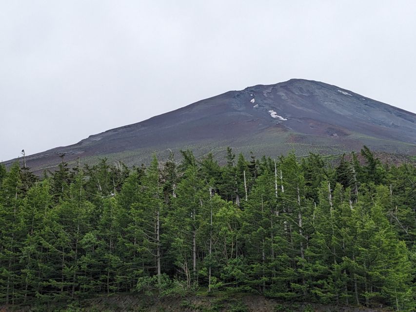 From Tokyo: Mt. Fuji & Hakone Tour w/ Return by Bullet Train - Should you book this Mt. Fuji and Hakone tour?