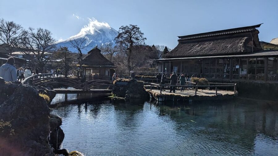 From Tokyo: Mt. Fuji & Hakone Tour w/ Return by Bullet Train - Owakudani and the Hakone Ropeway
